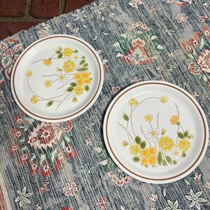 Ekco Eterna Camelot Spring Meadow Stoneware Dinner Plates – Set of 2
